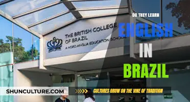 English Education in Brazil: How Widely is it Taught and Learned?