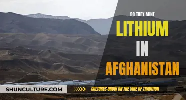 Lithium in Afghanistan: The Country's Mining Potential and Challenges