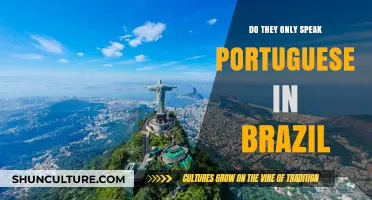 Beyond Portuguese: Exploring Brazil's Diverse Linguistic Landscape and Cultures