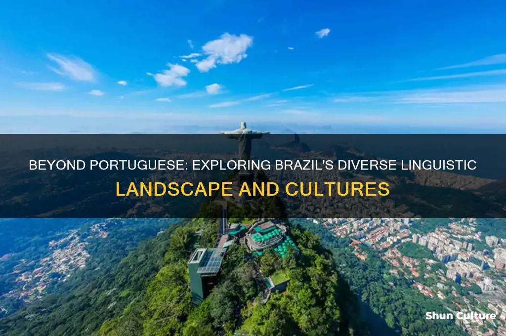 do they only speak portuguese in brazil