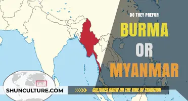 Myanmar vs. Burma: Unraveling the Preferred Nomenclature