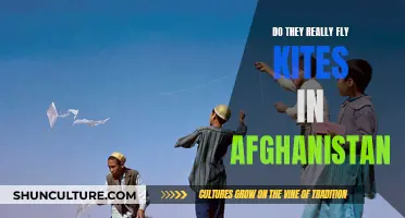 Kite Flying in Afghanistan: A Colorful Tradition Soaring High