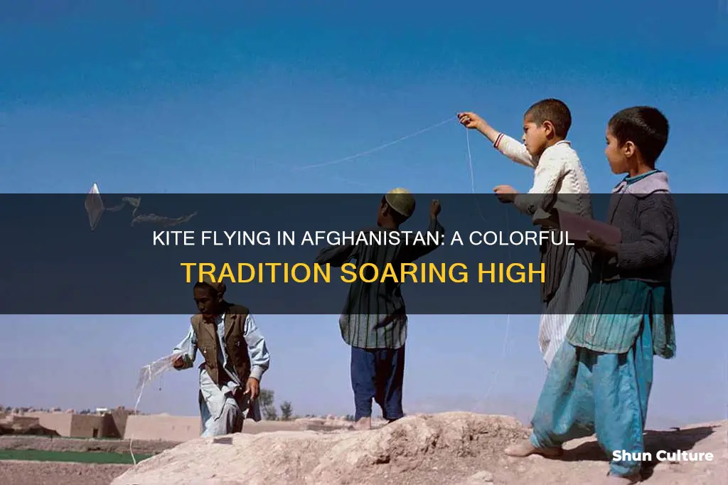 do they really fly kites in afghanistan