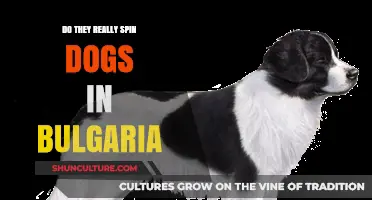 Unraveling the Truth: Dog Spinning in Bulgaria