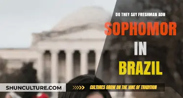 Freshman and Sophomore in Brazil: Unraveling Academic Year Terminology