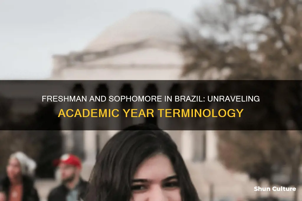 do they say freshman adn sophomore in brazil