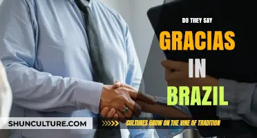 Gracias in Brazil? Exploring Language and Cultural Greetings in Portuguese