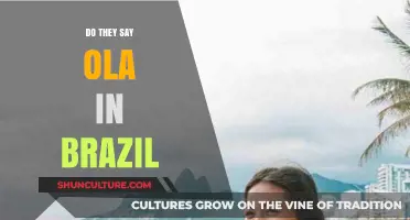 Ola in Brazil: Unraveling the Greeting Myth and Cultural Truths