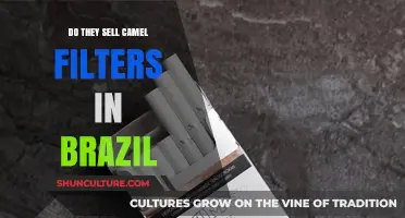 Camel Filters in Brazil: Availability and Where to Find Them