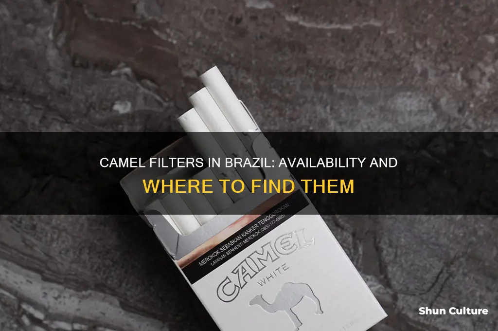 do they sell camel filters in brazil