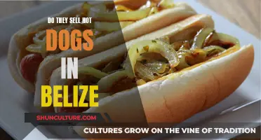 Hot Dogs in Belize: A Tasty Treat?