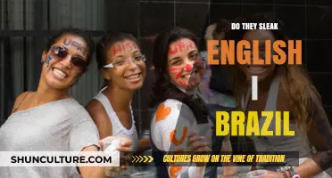 Do Brazilians Speak English? Unraveling Language Trends in Brazil