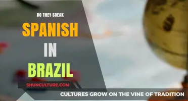 Do They Speak Spanish in Brazil? Unraveling Language Myths