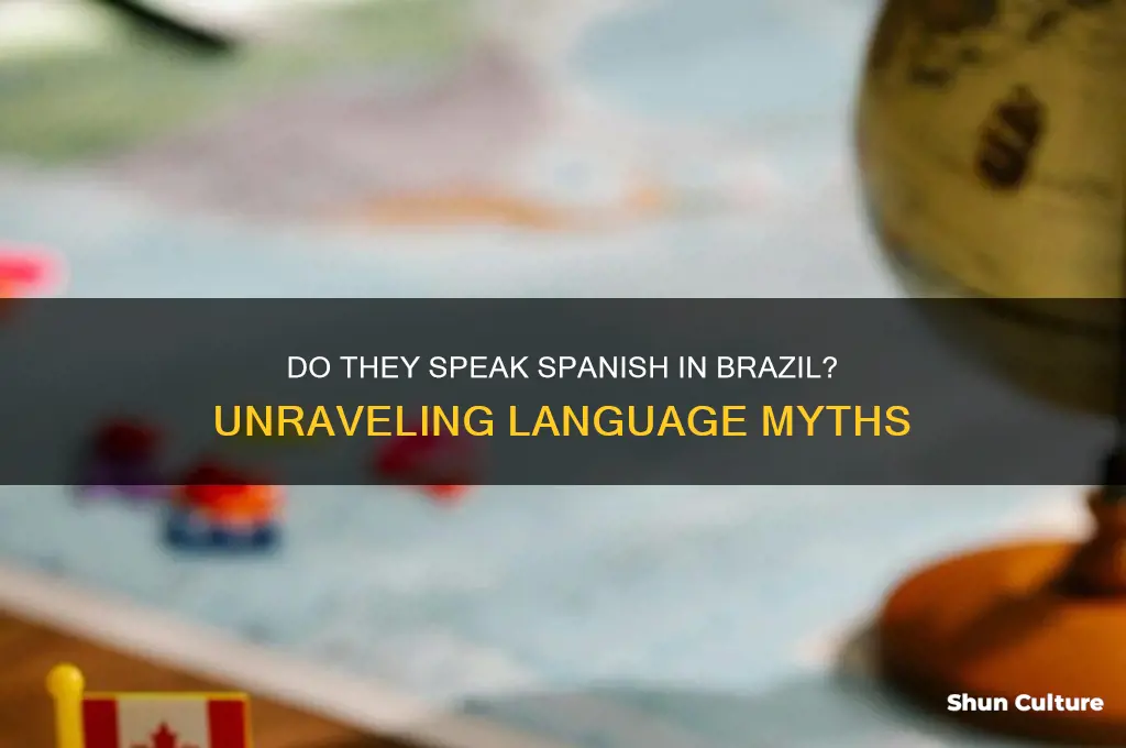 do they soeak spanish in brazil