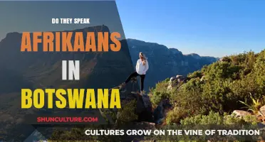 Is Afrikaans Spoken in Botswana? Exploring Language Diversity in Southern Africa