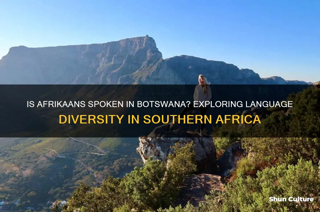 do they speak afrikaans in botswana
