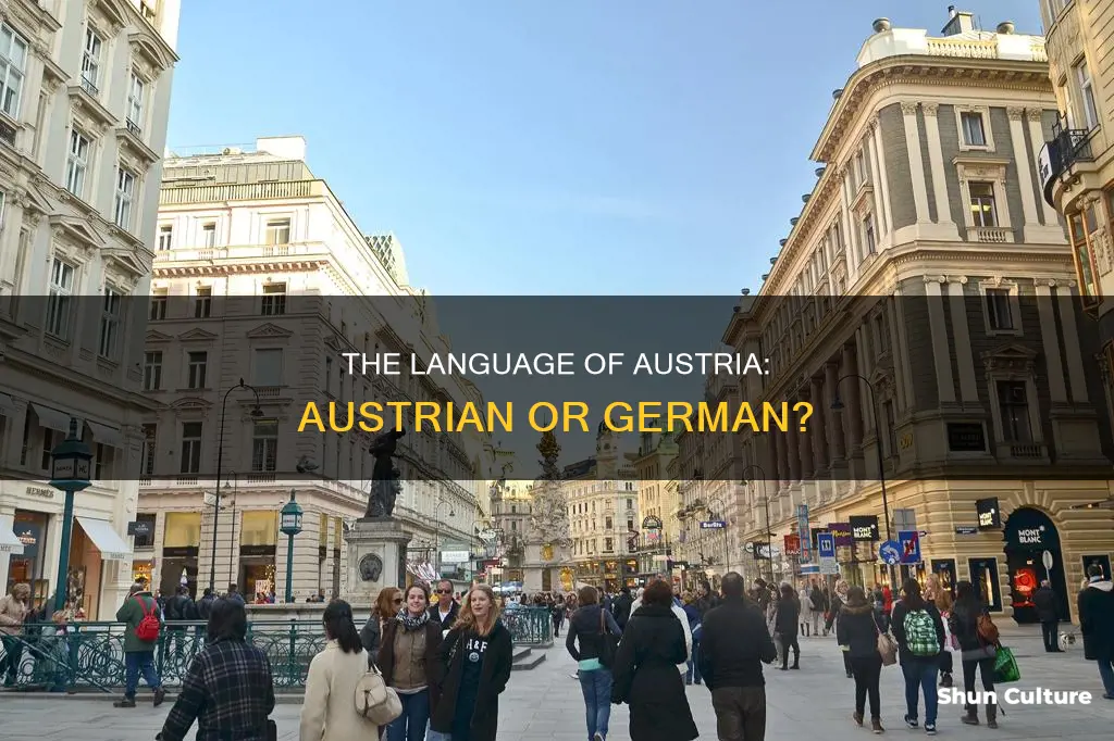 do they speak austrian in austria