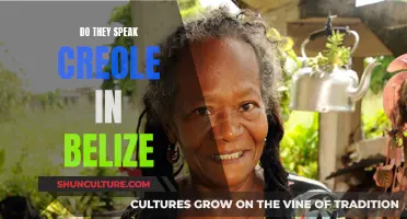 Creole Language in Belize: Who Speaks It?