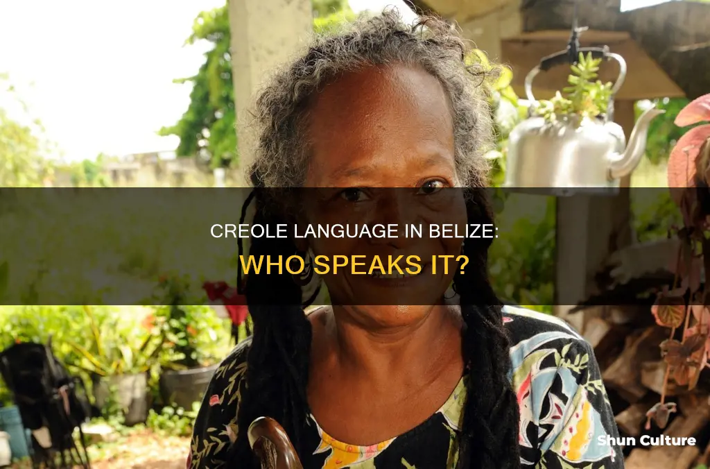 do they speak creole in belize