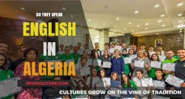 English in Algeria: Language Usage and Communication Insights
