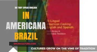 English in Americana, Brazil: Language Use and Cultural Insights