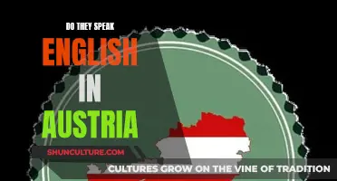 English in Austria: Is It Widely Spoken?