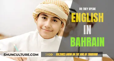 English in Bahrain: Is It Widely Spoken?