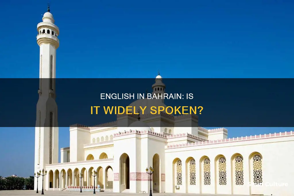 do they speak english in bahrain