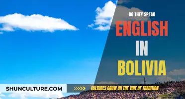 English in Bolivia: Is It Widely Spoken?