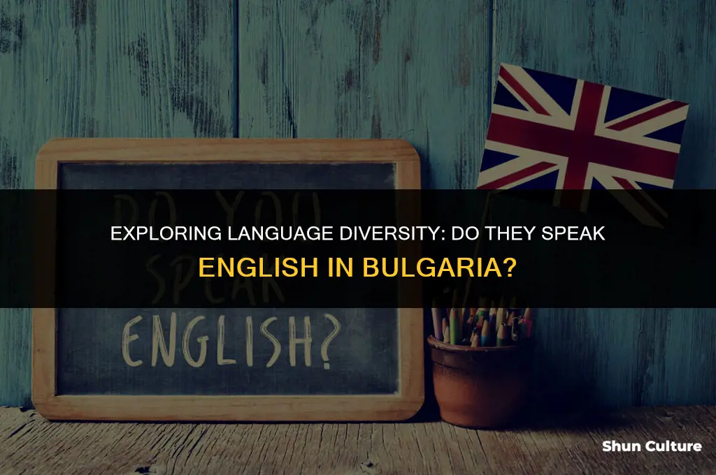 do they speak english in bulgaria