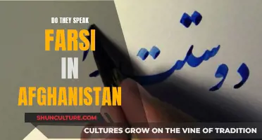 The Farsi Connection: Afghanistan's Linguistic Heritage and Its Future