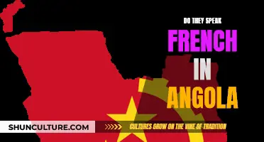 French in Angola: Is It Spoken?