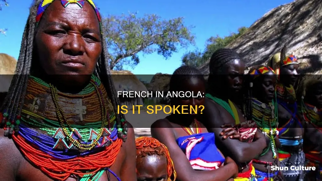 do they speak french in angola