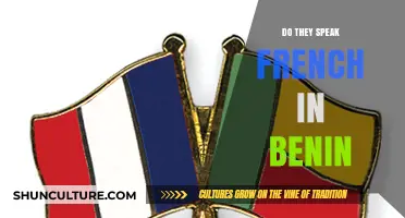 Exploring Linguistic Diversity: French in Benin - A Cultural Insight