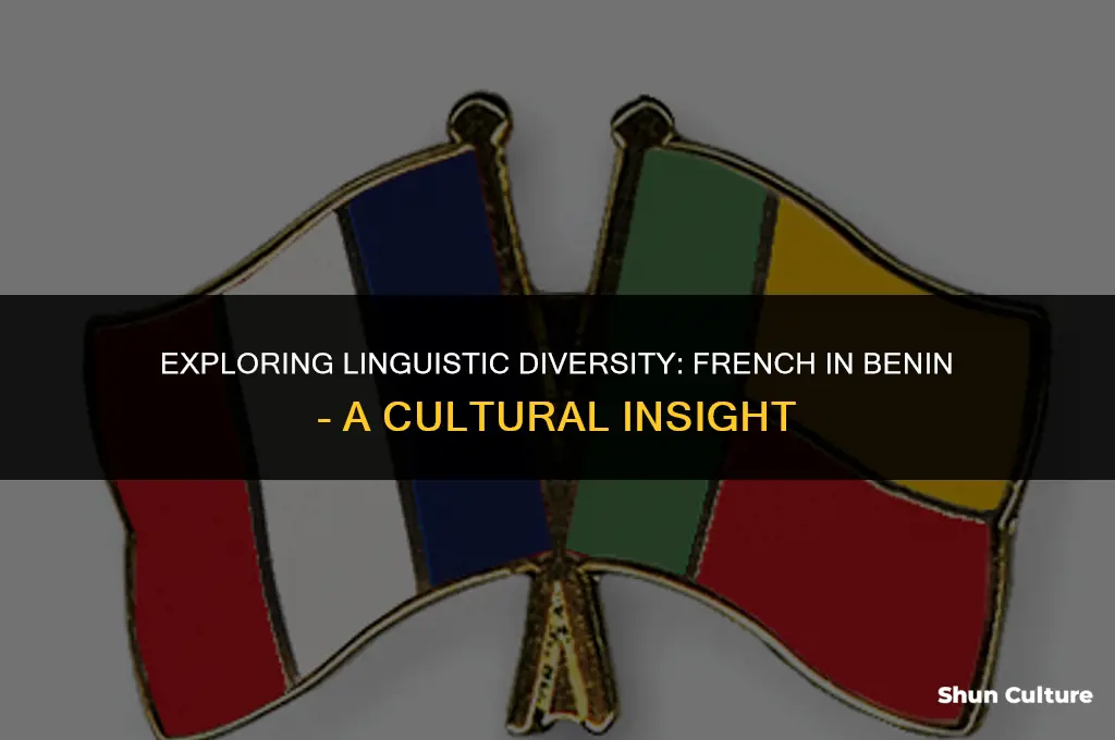do they speak french in benin