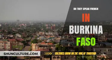 Exploring Burkina Faso: A Look at the Country's Linguistic Landscape