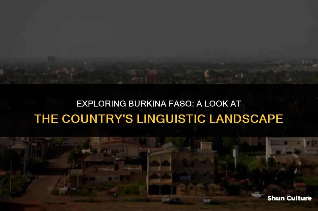 do they speak french in burkina faso