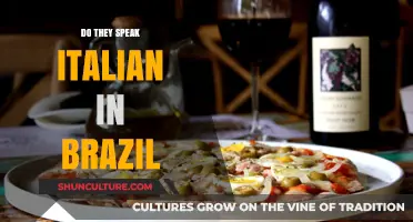 Do They Speak Italian in Brazil? Unraveling Language Myths and Realities