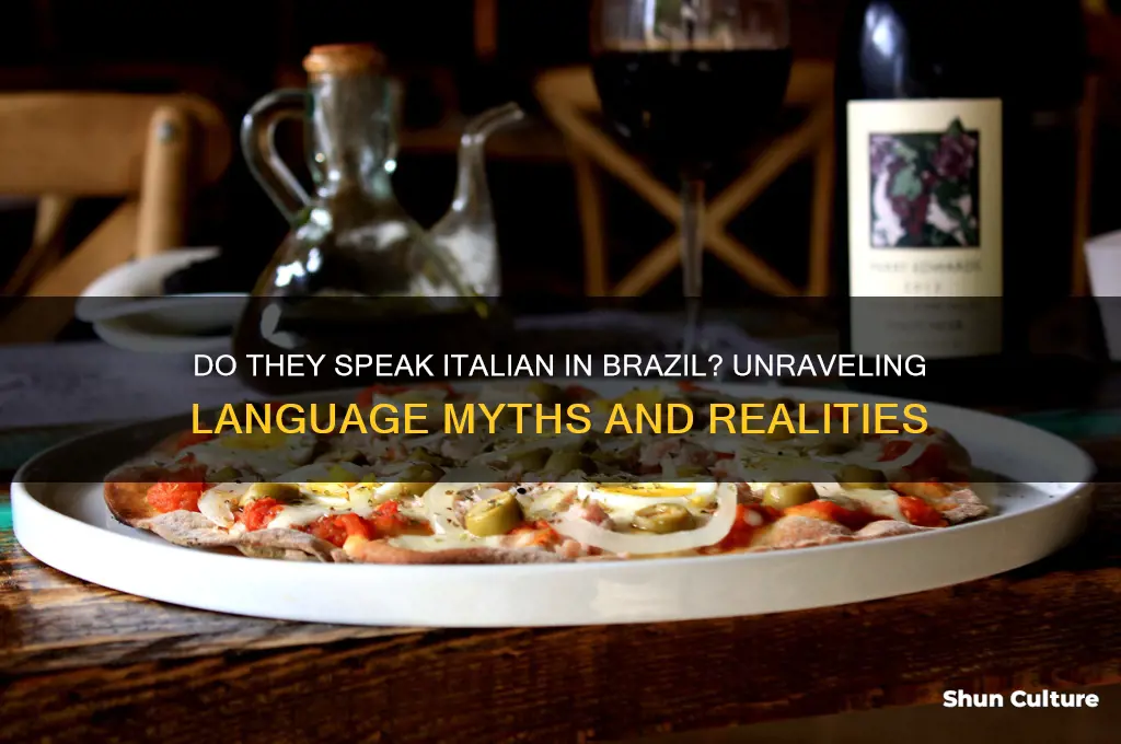do they speak italian in brazil