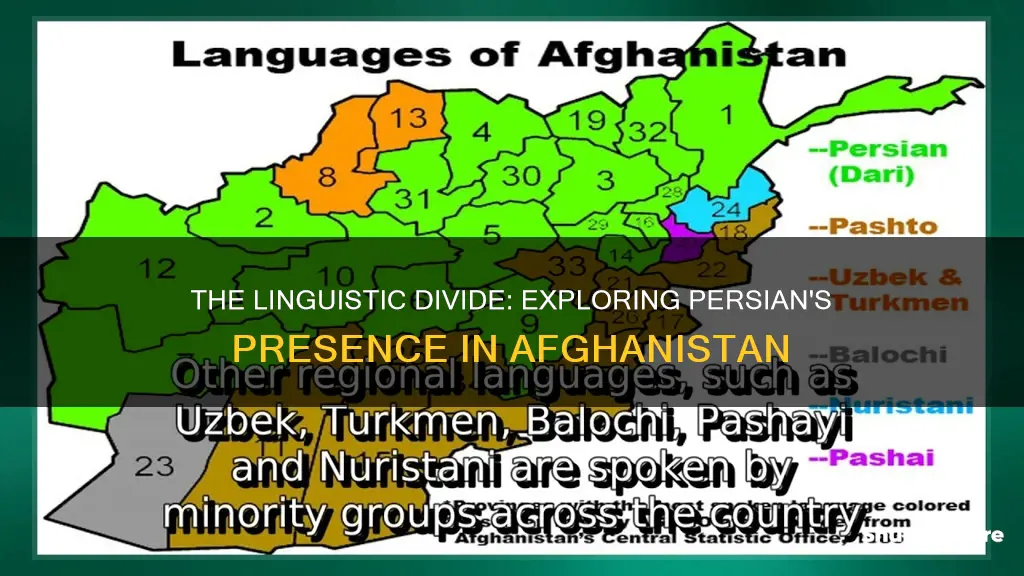 do they speak persian in afghanistan