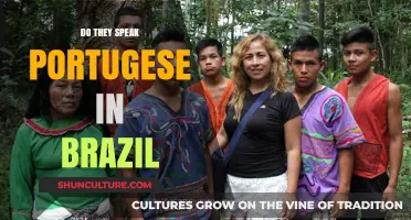 Do They Speak Portuguese in Brazil? Unraveling the Language Mystery