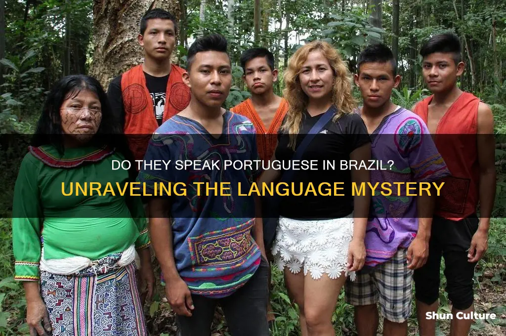 do they speak portugese in brazil