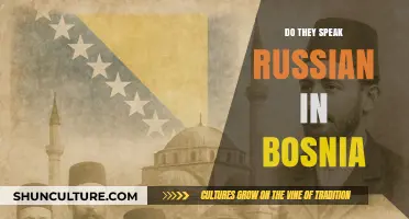 Russian in Bosnia: Language Presence and Cultural Influence Explained