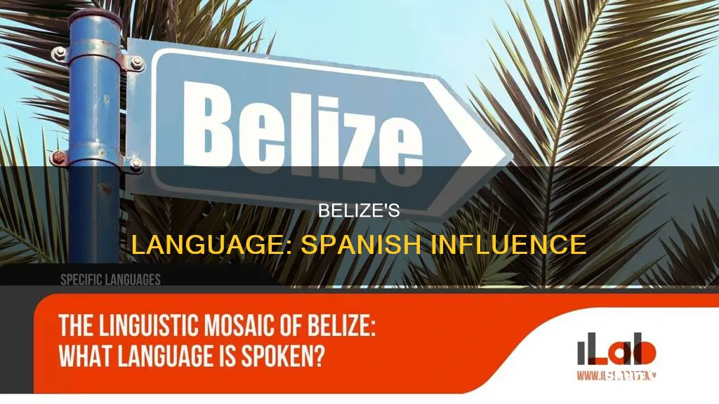 do they speak spanish in beliz