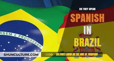 Do They Speak Spanish in Brazil? Unraveling Language Myths