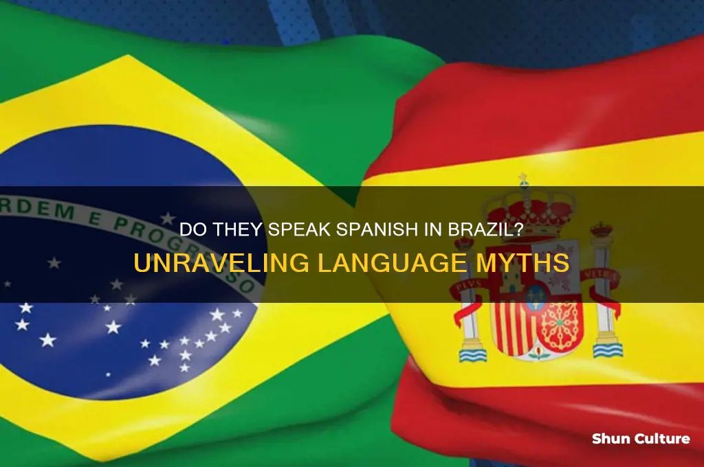 do they speak spanish in brazil