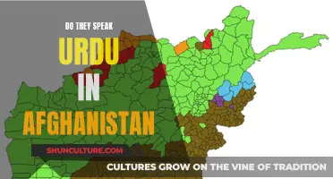 The Linguistic Link: Urdu's Presence in Afghanistan