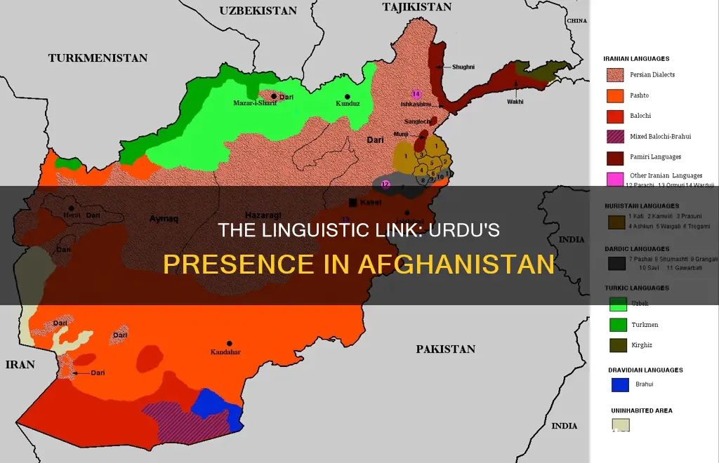 do they speak urdu in afghanistan