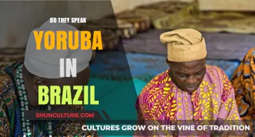 Exploring Yoruba Influence: Is the Language Spoken in Brazil Today?