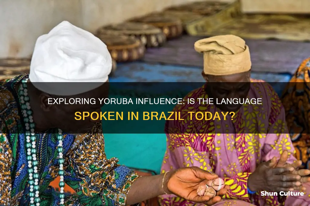do they speak yoruba in brazil